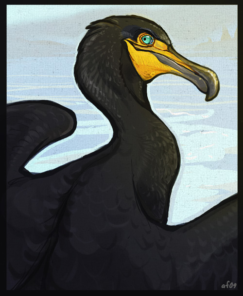 ambiguous_gender beak black_body black_border black_feathers black_wings blue_eyes border closed_smile feathered_wings feathers feral grey_beak looking_back mouth_closed outside sea smile solo water wings lyosha avian bird cormorant 2009 colored digital_drawing_(artwork) digital_media_(artwork) english_description shaded signature