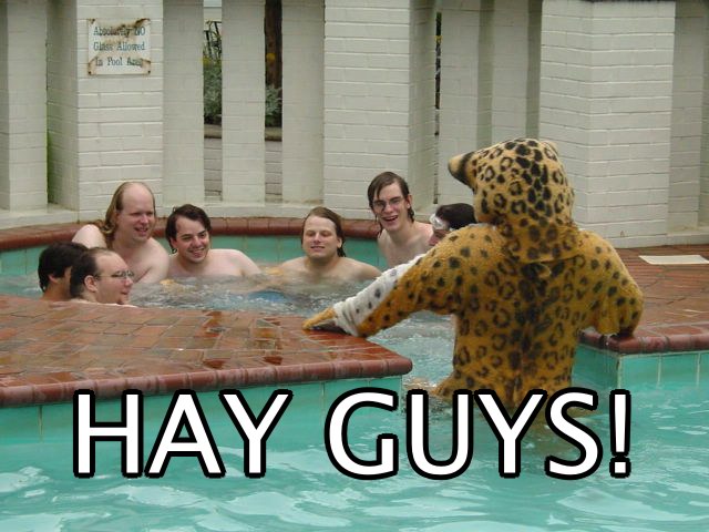 ambiguous_gender anthro bathing clothing costume furry_lifestyle fursuit group male real reality swimming_pool water unknown_artist felid human jaguar mammal pantherine 4:3 grandfathered_content