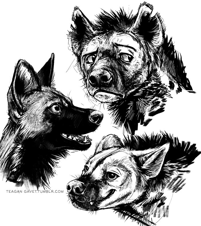 ambiguous_form ambiguous_gender group open_mouth simple_background smile teeth text tongue tongue_out white_background blackteagan african_wild_dog canid canine hyena mammal spotted_hyena striped_hyena black_and_white monochrome url