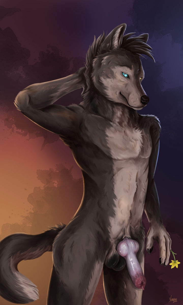 anatomically_correct animal_genitalia animal_penis anthro balls biped canine_genitalia canine_penis erection flower fur genitals grey_body grey_fur hair hand_behind_head heterochromia holding_object knot looking_at_viewer male mohawk pecs penis plant solo standing vinaru canid canine canis mammal wolf 3:5 hi_res