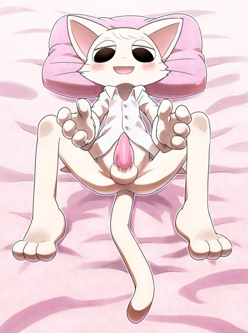 3_toes 4_fingers anthro balls barefoot biped blush bottomless clothed clothing dress_shirt erection feet fingers fur genitals lying male on_back penis pillow shirt solo spread_legs spreading tapering_penis toes topwear whiskers white_body white_fur ofuro kaito_oji_churippa! abel domestic_cat felid feline felis mammal