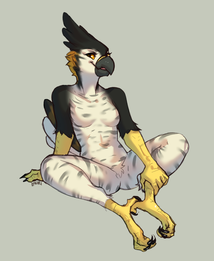 4_toes 5_fingers anisodactyl anthro avian_feet beak biped black_beak black_body black_feathers feathers feet female fingers nude orange_body orange_eyes orange_feathers scuted_arms scutes sitting solo talons toes white_body white_feathers gonewiththefart avian bird digital_media_(artwork)