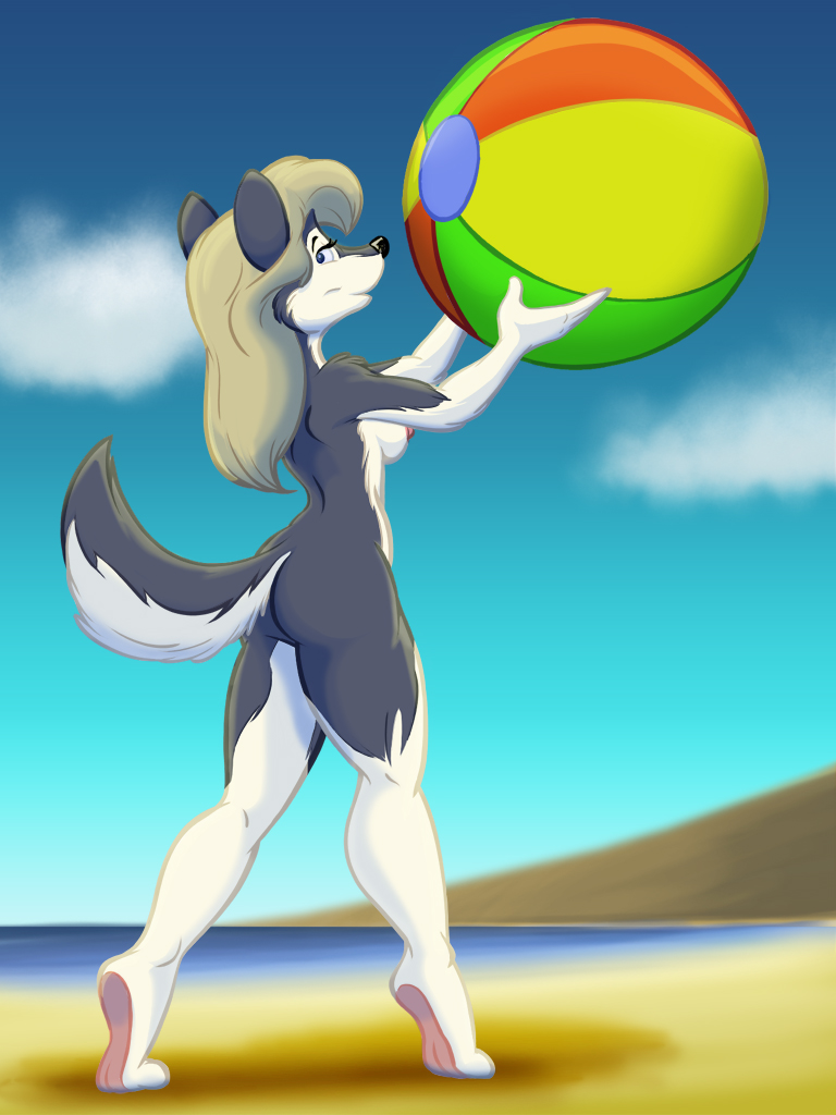 anthro ball beach beach_ball black_nose blue_eyes blue_sky breasts butt cloud day female fur grey_body grey_fur holding_beach_ball inflatable nipples nude outside pink_nipples seaside sky solo tiptoes white_body white_fur op80918 bootsy canid canine canis domestic_dog husky mammal nordic_sled_dog spitz 2010 3:4