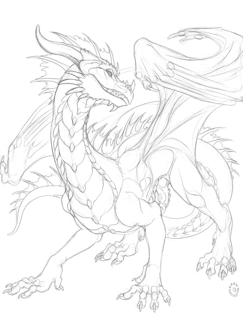 erection feral genitals horn knot looking_at_viewer male membrane_(anatomy) membranous_wings penis smile solo tail vein wings dark_natasha mythology darylith dragon mythological_creature mythological_scalie scalie 2012 monochrome signature