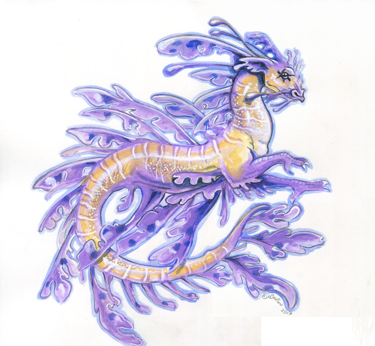 ambiguous_gender feral simple_background solo white_background heather_bruton mythology dragon fish leafy_seadragon marine mythological_creature mythological_scalie scalie syngnathid syngnathiform