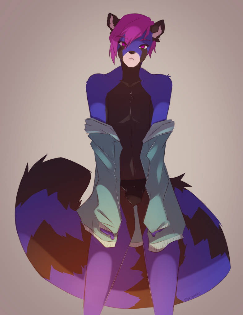 anthro black_body black_fur blue_body blue_fur clothing fur hair jacket male panties purple_hair solo topwear underwear undressing skaiahart kaysi_(manicpandaz) ailurid mammal red_panda