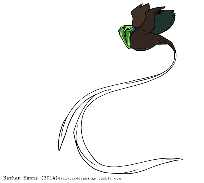 beak biped black_text blue_body blue_feathers brown_body brown_feathers brown_tail brown_tail_feathers brown_wings dark_body dark_feathers dark_pupils dark_text feathered_arms feathered_wings feathers feral flying green_body green_feathers grey_beak grey_body grey_eyes grey_feathers grey_wings iris light_beak light_body light_feathers light_tail light_tail_feathers long_tail long_tail_feathers midair monotone_beak multicolored_body multicolored_feathers multicolored_tail multicolored_tail_feathers multicolored_wings pupils raised_arm raised_wings short_beak side_view simple_background small_beak solo tail text two_tone_tail two_tone_tail_feathers two_tone_wings wavy_tail white_background white_body white_feathers white_tail white_tail_feathers winged_arms wings year jamminbison astrapia avian bird oscine paradisaeid passerine ribbon-tailed_astrapia 2014 artist_name digital_drawing_(artwork) digital_media_(artwork) flat_colors url