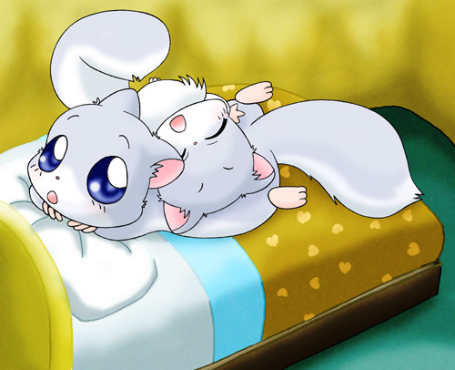 bed bedding blanket blue_body blue_eyes blue_fur duo eyes_closed feral fluffy fluffy_tail fur furniture japanese looking_at_viewer male tail white_body white_fur kuridora happy_happy_clover pixiv sayuri_tatsuyama hickory_(happy_happy_clover) hirari_(happy_happy_clover) flying_squirrel mammal rodent sciurid tree_squirrel 2008 low_res brother_(lore) brothers_(lore) sibling_(lore) twins_(lore)