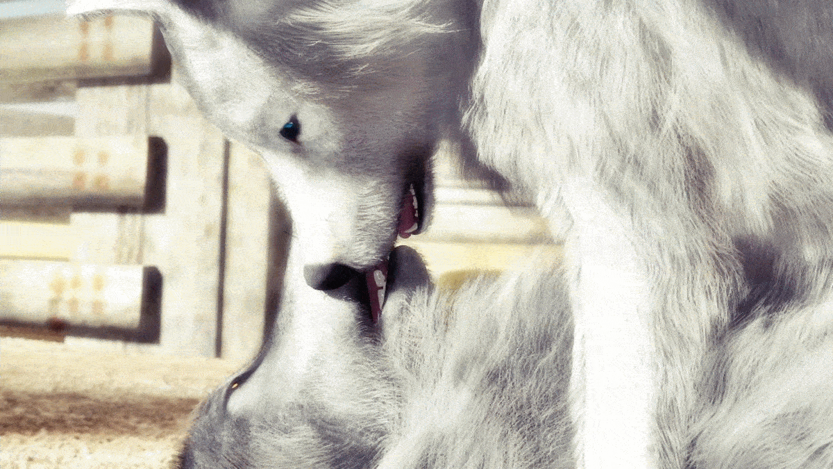 world blurring in ecstasy