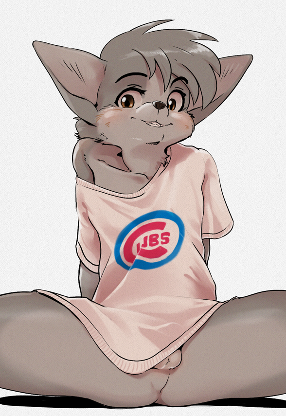 anthro balls big_ears bottomless bottomless_male brown_eyes clothed clothing fur genitals grey_body grey_fur logo looking_at_viewer male off_shoulder oversized_clothing penis shirt shota sitting smile snout solo spread_legs spreading text text_on_clothing text_on_shirt text_on_topwear topwear topwear_only young young_anthro harmarist chicago_cubs mlb sheath_and_knife alex_(harmarist) canid canine canis mammal wolf english_text