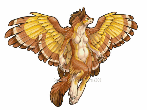 4_toes 5_fingers anthro biped brown_body brown_feathers brown_fur feathered_wings feathers feet female fingers fur hair solo toes wings katie_hofgard nym_(katie_hofgard) alecani canid canine hybrid mammal 2009 traditional_media_(artwork)