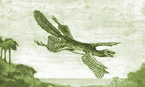 ambiguous_gender feathers feral flying open_mouth plant sky solo tree william_beebe dinosaur prehistoric_species proavis reptile scalie theropod 1915 20th_century 5:3 ancient_art biological_illustration low_res monochrome painting_(artwork) technical_illustration traditional_media_(artwork)