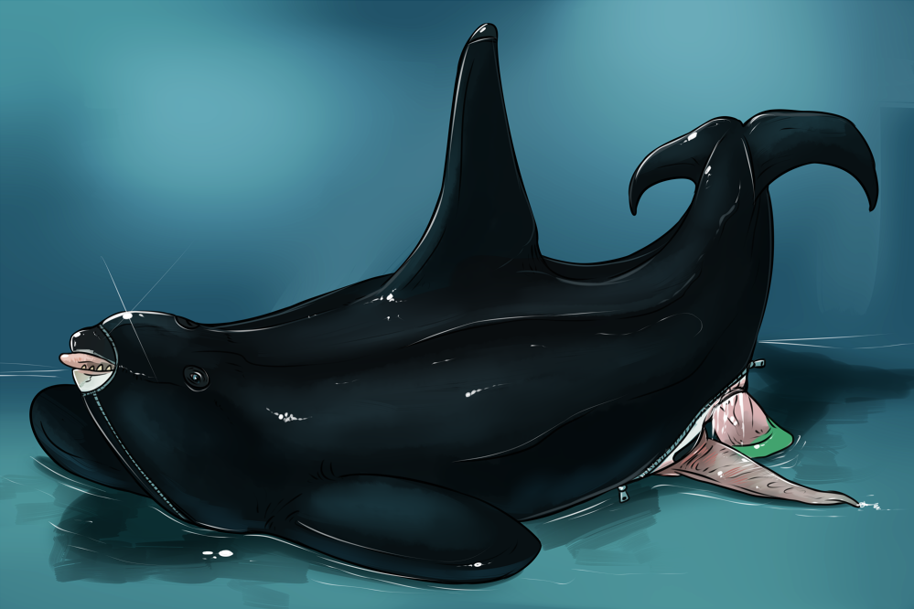 Whale Penis Dildo 93
