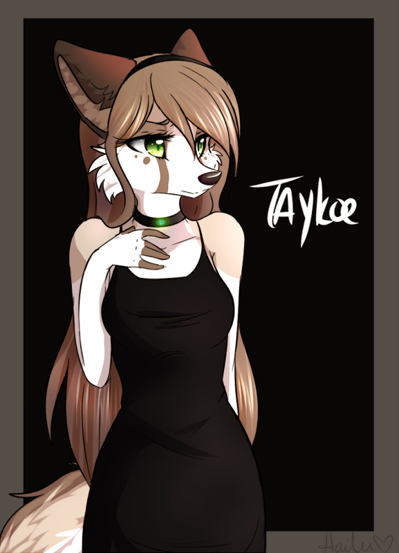 accessory anthro biped breasts brown_hair clothed clothing collar dress female green_eyes hair hair_accessory hairband long_hair simple_background solo standing text taykoe taykoe_(character) canid canine canis coyote mammal 2014 english_text