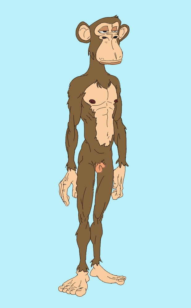 anthro balls blue_background bored brown_body brown_fur brown_nipples cheek_tuft facial_tuft feet flaccid fur genitals hairless_balls head_tuft humanoid_feet male navel nipples nude penis plantigrade simple_background small_penis solo standing tuft why bored_ape_yacht_club nft_monkey nu ape chimpanzee haplorhine humanoid mammal monkey pan_(genus) primate flat_colors full-length_portrait meme portrait