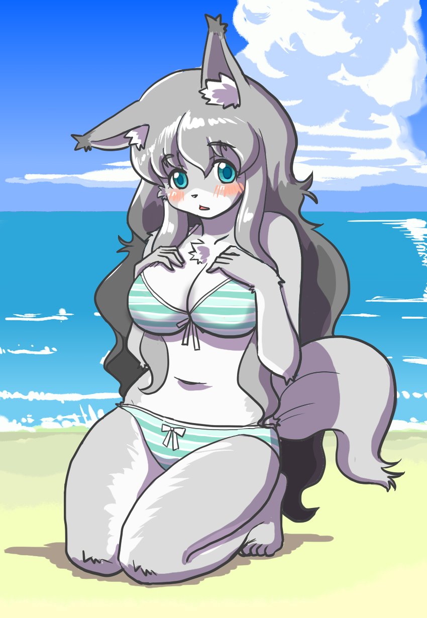 anthro beach bikini blush breasts clothing detailed_background eyebrows eyelashes female fluffy fur hair kemono outside sand sea seaside sky solo swimwear two-piece_swimsuit water kin-shun moco_(kin-shun) canid canine canis mammal wolf 2018 hi_res