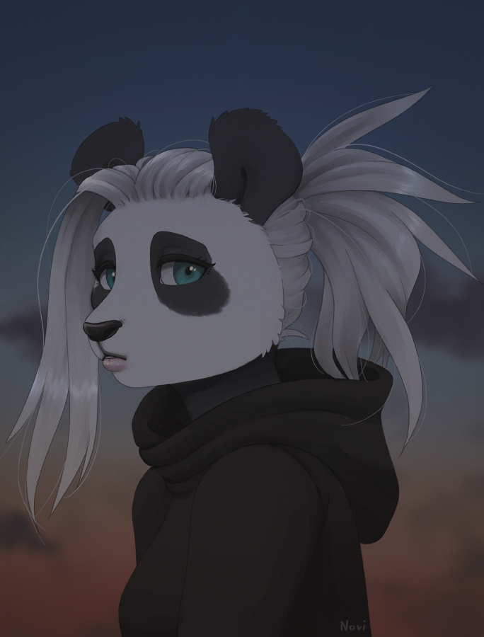 anthro black_body black_clothing black_ears black_fur black_hoodie black_nose black_topwear blue_eyes clothing eye_markings eyelashes facial_markings female fur hair head_markings hoodie lips long_hair looking_at_viewer markings pink_lips ponytail sky_background solo topwear twilight white_body white_fur white_hair noviraine november_(noviraine) bear giant_panda mammal 2023 digital_media_(artwork) portrait signature