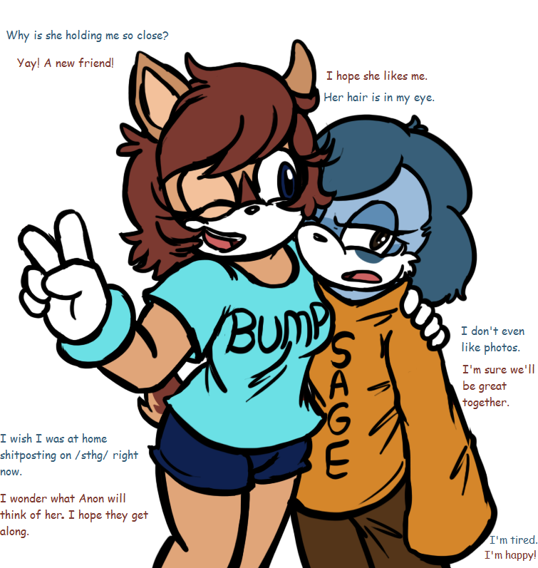 anthro blue_body blue_eyes blue_fur blue_hair brown_eyes brown_hair clothing duo female frown fur gesture hair hand_gesture one_eye_closed shirt smile sweater tan_body tan_fur text text_on_clothing text_on_shirt text_on_topwear topwear v_sign wink unknown_artist 4chan sega sonic_the_hedgehog_(series) bump_the_deer fan_character sage_the_sloth deer mammal pilosan sloth xenarthran english_text