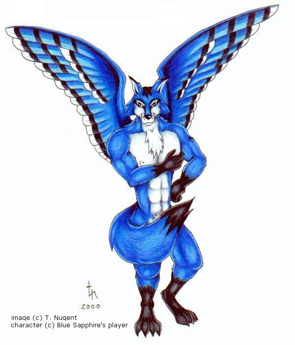 abs anthro back_wings biceps black_markings black_nose blue_body blue_feathers blue_fur chest_tuft digitigrade feathered_wings feathers feet fur hindpaw looking_at_viewer male markings muscular muscular_anthro muscular_male nipples nude paws pecs snout solo standing tail tuft white_body white_fur wings t._nugent avian bird blue_jay canid canine corvid fox hybrid jay_(bird) mammal new_world_jay oscine passerine 2000 colored_pencil_(artwork) full-length_portrait portrait shaded traditional_media_(artwork)