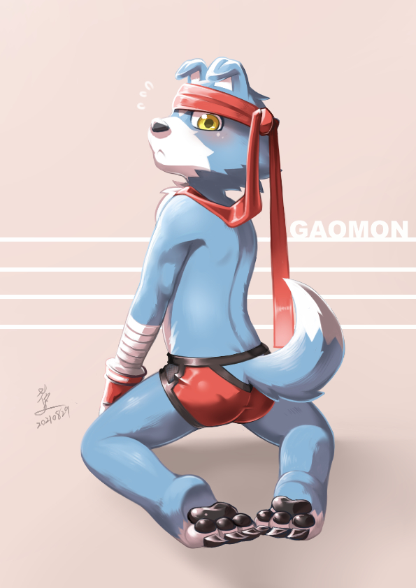 accessory anthro blue_body blue_fur blush boxing_gloves butt clothing embarrassed fur handwear headband looking_at_viewer looking_back male pawpads solo tight_clothing underwear yellow_eyes bananana8729 bandai_namco digimon canid canine digimon_(species) gaomon mammal