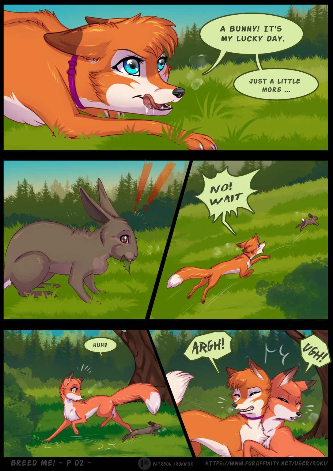 Rukifox e621