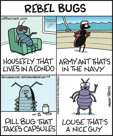 4_panel_comic anthro biped boat chair copyright_symbol furniture sailor_hat sitting standing symbol text vehicle water watercraft window mark_parisi off_the_mark ant army_ant arthropod crustacean fly_(animal) housefly hymenopteran insect isopoda louse malacostracan pill_bug woodlouse 2022 5:6 comic english_text url