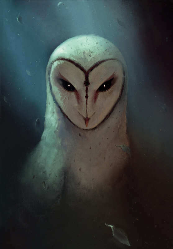 beak black_eyes facial_markings feathers female feral head_markings leaf markings solo white_body white_feathers jedrzej_chelminski guardians_of_ga'hoole nyra_(gogh) avian barn_owl bird owl tyto tytonid official_art portrait female_(lore)