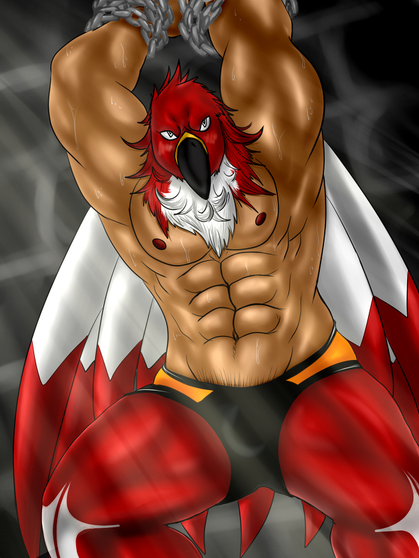 abs anthro arms_above_head bdsm beak biceps big_muscles bodily_fluids bondage bottomwear bound bulge chain clothed clothing feathers for_a_head looking_at_viewer male mask muscular muscular_anthro muscular_male nipples pants pecs red_body red_feathers solo submissive submissive_male sweat topless white_body white_feathers eurobeat fatal_fury garou:_mark_of_the_wolves king_of_fighters snk tizoc animal_head animal_humanoid avian bird human humanoid mammal parrot 3:4