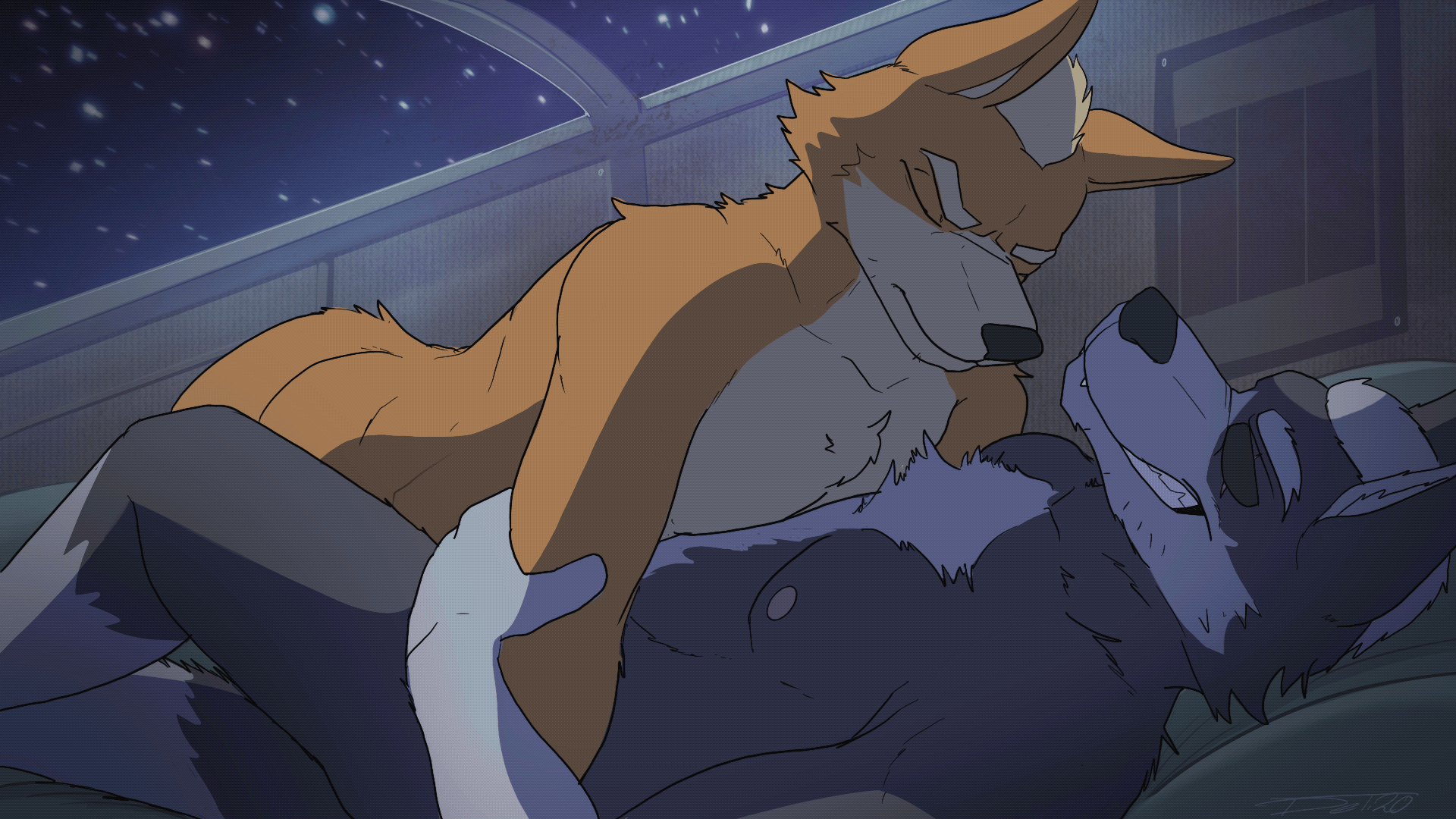 Wolf o'donnell e621
