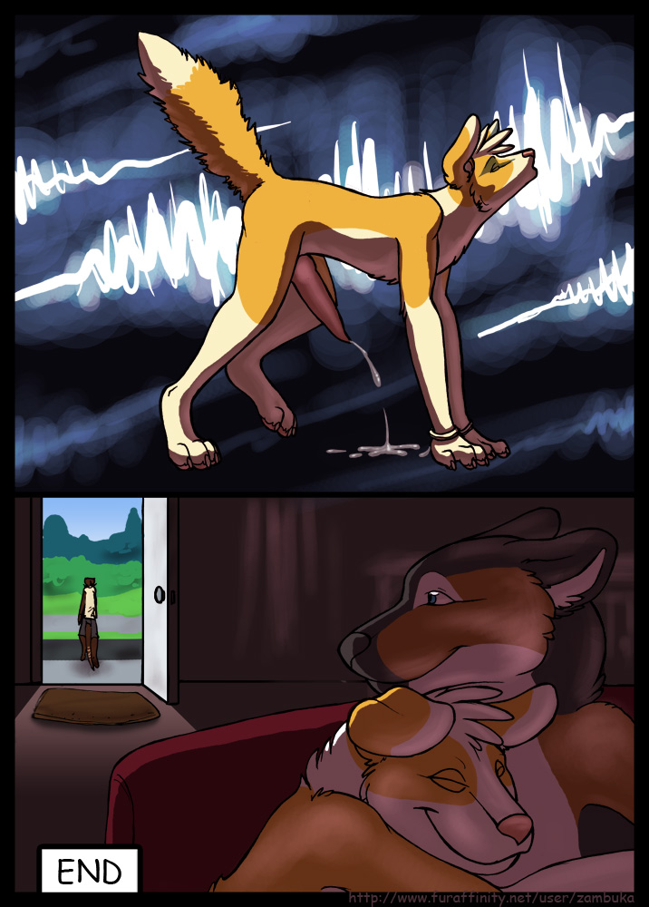 Gay canine fuck