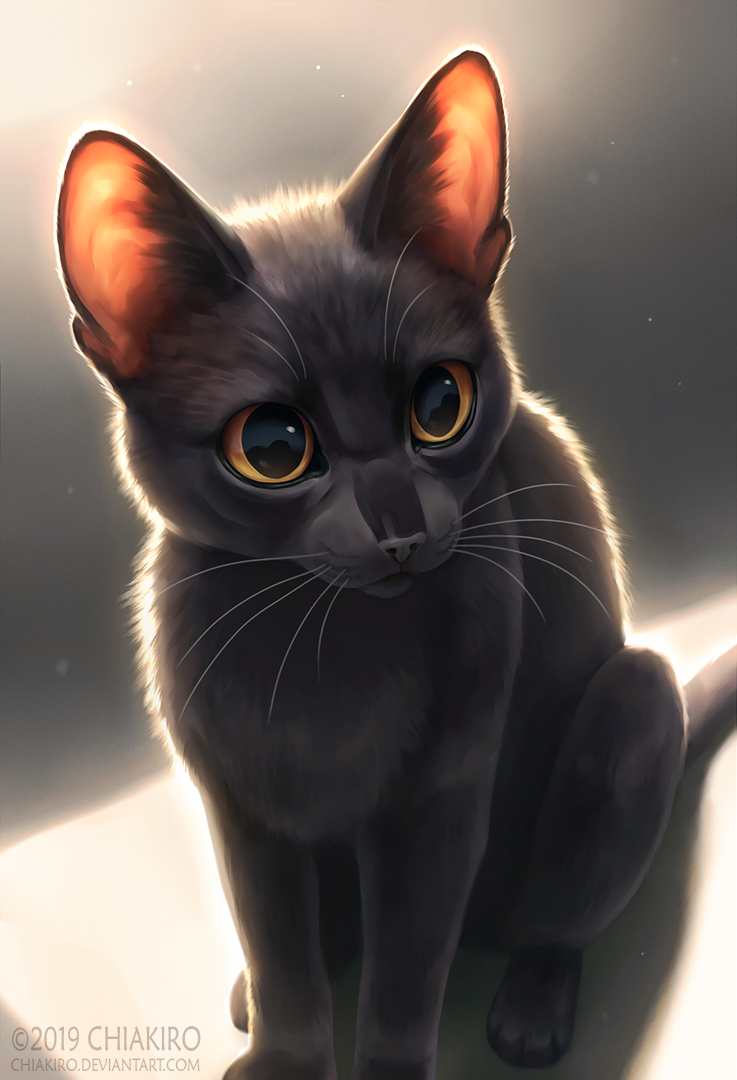 4_toes ambiguous_gender big_eyes black_body black_fur black_nose feet feral fur glistening glistening_eyes nude simple_background sitting solo sun_rays toes whiskers yellow_eyes chiakiro domestic_cat felid feline felis mammal 2019 digital_media_(artwork) shaded signature