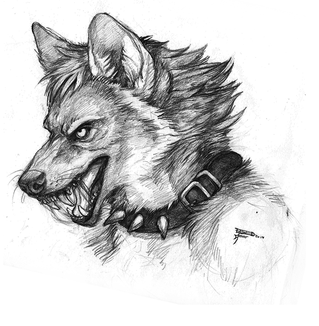 anthro bodily_fluids cheek_tuft collar facial_tuft fangs inner_ear_fluff open_mouth saliva solo spiked_collar spikes teeth tongue tuft simul canid canine canis mammal wolf monochrome