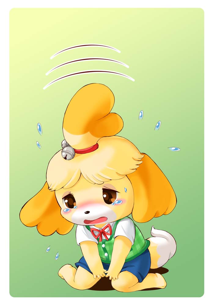 bell blonde_hair bodily_fluids clothing crying female fluffy fluffy_ears fluffy_tail fur green_background hair open_mouth orange_hair sad simple_background sitting solo sweat tail tears tf_into_fictional_character transformation white_body white_fur yellow_body yellow_fur edmol animal_crossing nintendo isabelle_(animal_crossing) canid canine canis domestic_dog mammal shih_tzu toy_dog