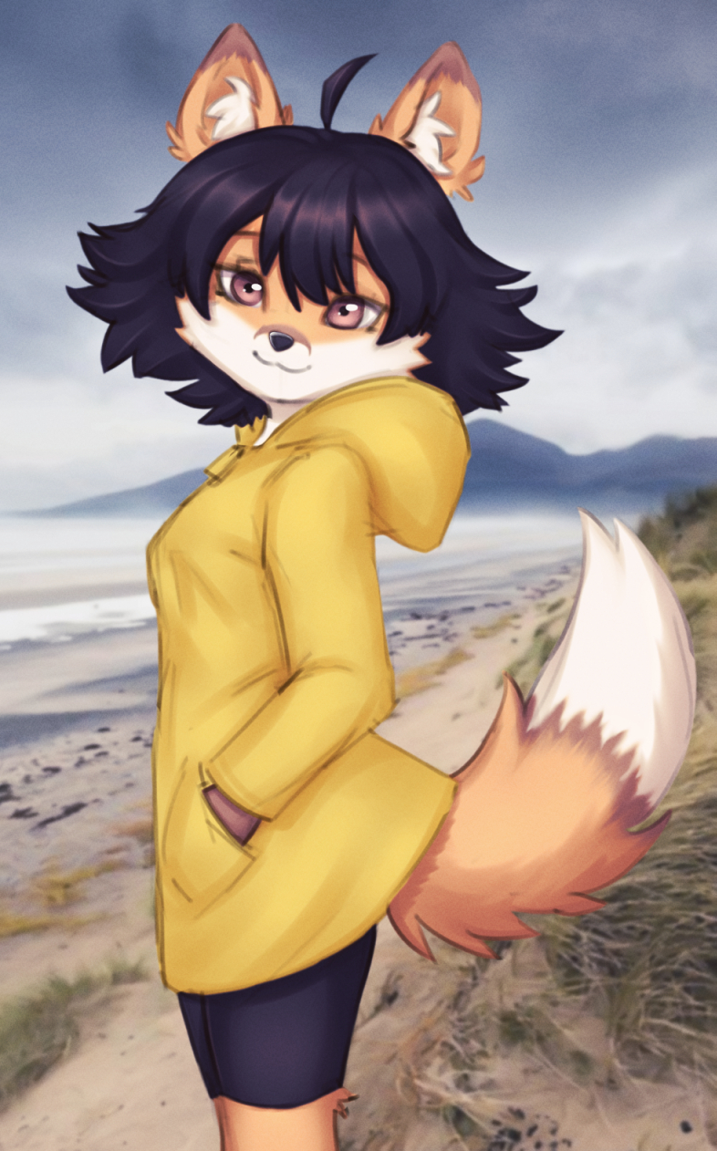 anthro clothing coastline coat female outside raincoat seashore solo topwear elronya astra_maple canid canine fox mammal hi_res