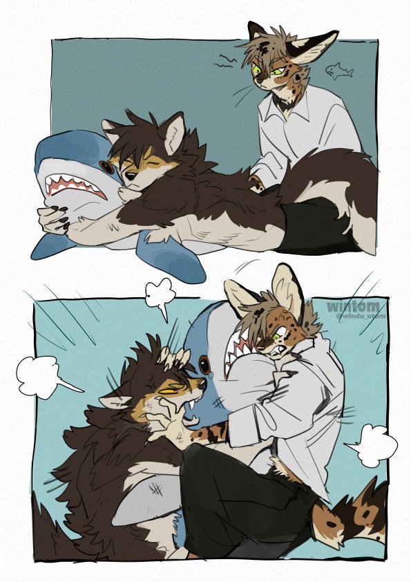 angry anthro black_bottomwear black_clothing black_pants bottomwear clothing duo fangs fight green_eyes lying male on_front pants plushie shirtless_anthro shirtless_male teeth yellow_sclera windwttom ikea blahaj olive_(windwttom) canid canine canis felid feline mammal serval wolf comic