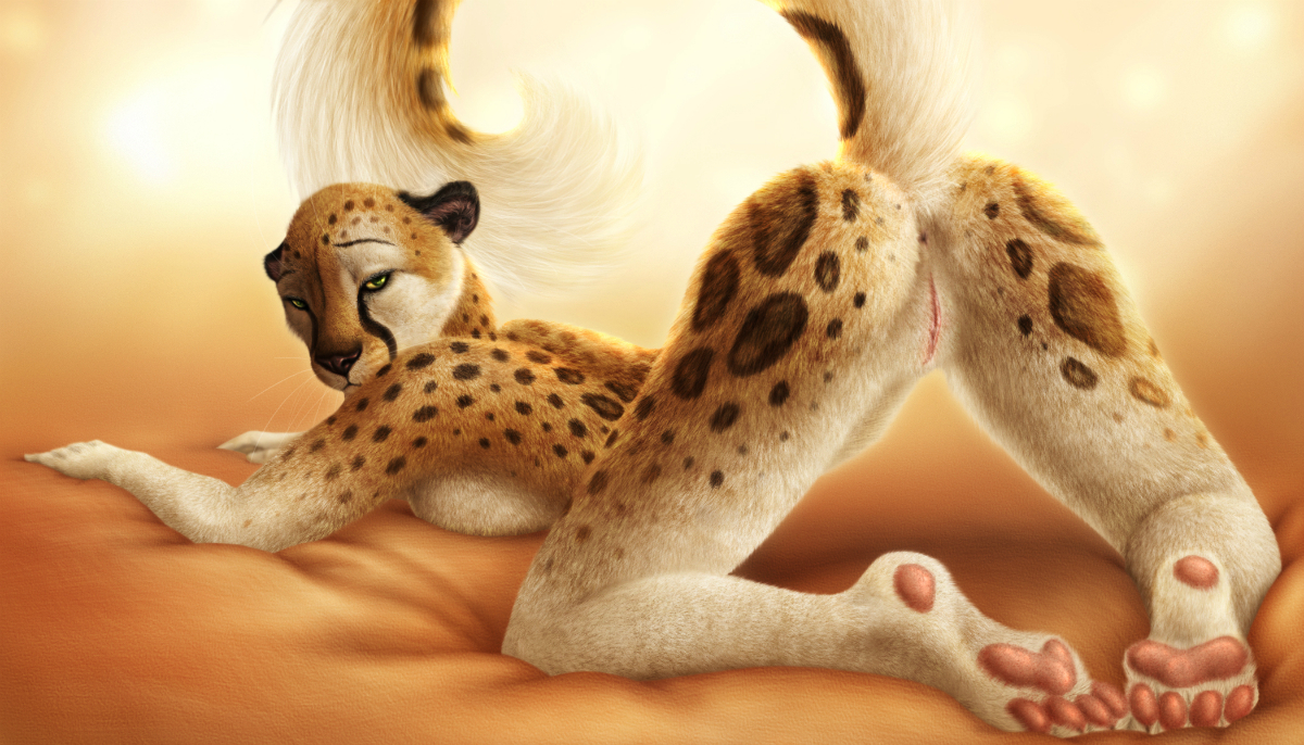 Dont cheat on a cheetah. [F] (jocarra) picture