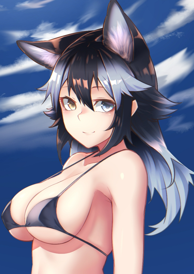 bikini black_hair blue_eyes breasts clothing female hair heterochromia inner_ear_fluff looking_at_viewer smile solo swimwear tuft two-piece_swimsuit yellow_eyes st.takuma kemono_friends grey_wolf_(kemono_friends) animal_humanoid canid canid_humanoid canine canine_humanoid humanoid mammal mammal_humanoid wolf_humanoid half-length_portrait portrait