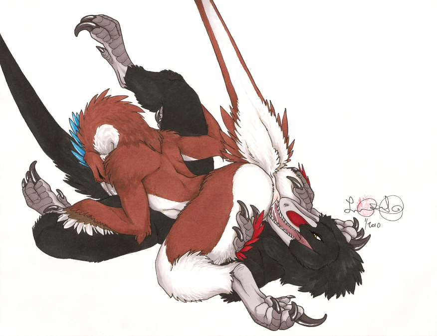 raptor position sex Raptor position sex