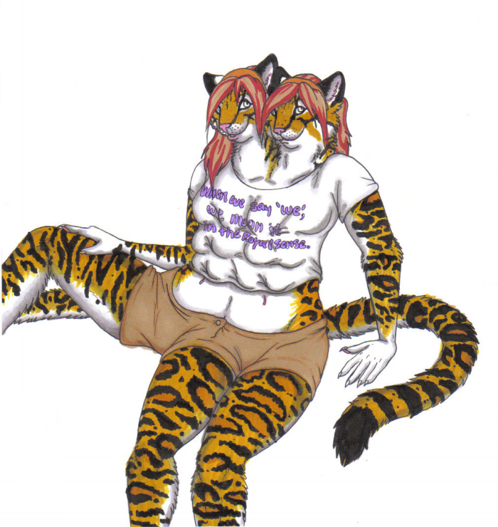 12_breasts anthro bottomwear breasts clothing conjoined conjoined_twins duo female looking_at_viewer multi_breast shirt shorts tail topwear wide_dicephalous kairithekat kythyn felid feline leopardus mammal ocelot