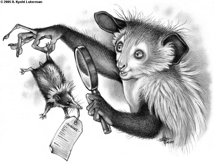 5_fingers ambiguous_gender anthro carrying_another claws curious duo feral fingers fluffy fur holding_object long_fingers long_snout looking_at_another magnifying_glass open_mouth open_smile quadruped semi-anthro shadow short_tail simple_background size_difference smile snout tail text whiskers white_background hkluterman kyoht_luterman afrosoricid aye-aye lemur mammal primate streaked_tenrec strepsirrhine tenrec tag_(disambiguation) 2005 bust_portrait english_text graphite_(artwork) greyscale hatching_(art) monochrome portrait shaded traditional_media_(artwork)