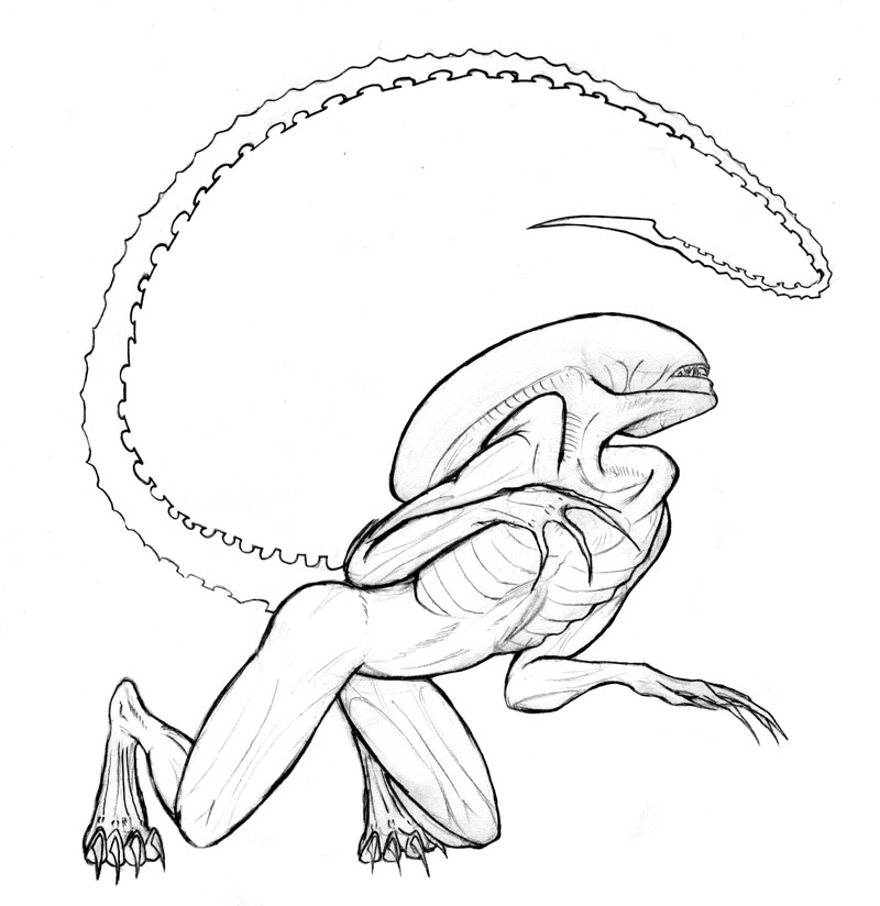 anthro biped bone_tail claws crouching eyeless kneeling long_claws long_tail nude rib_lines simple_background solo tail white_background madzee alien_(franchise) alien xenomorph 2006 digital_drawing_(artwork) digital_media_(artwork) full-length_portrait line_art monochrome portrait