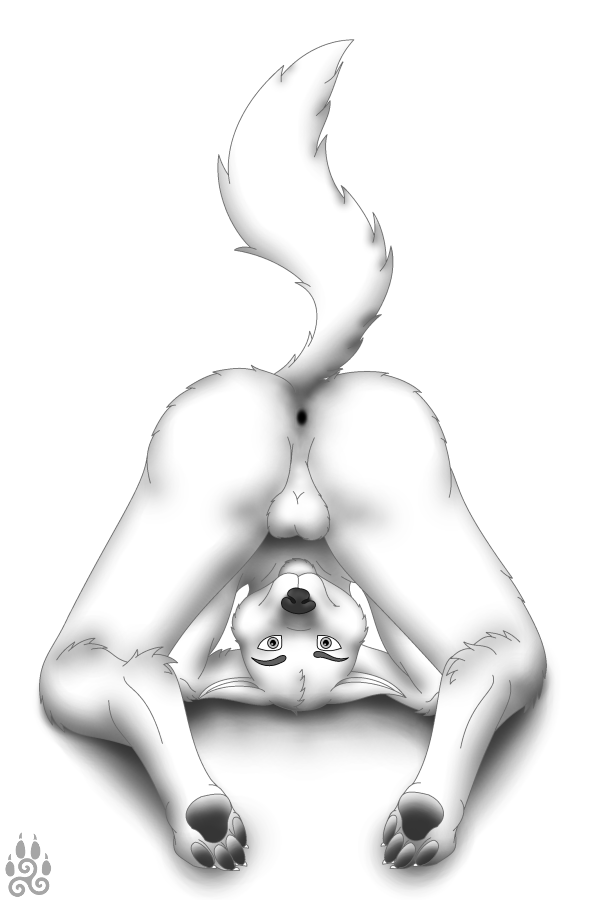 anthro anus backsack balls biped butt genitals kneeling male nude paws presenting raised_tail solo tail darkforest canid canine mammal monochrome