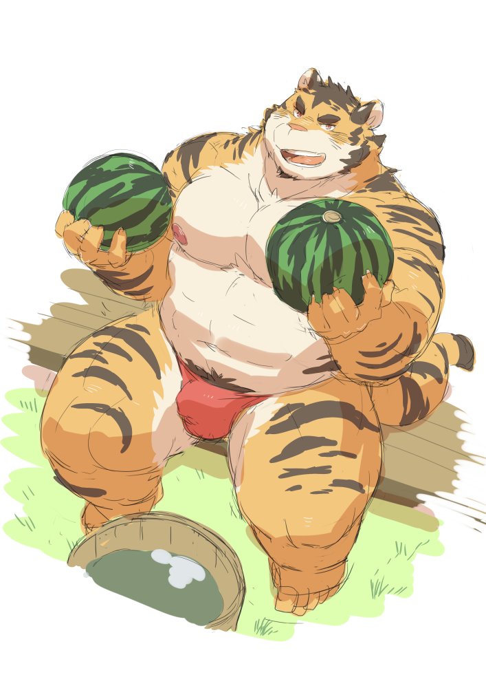 anthro belly bulge clothing food fruit humanoid_hands kemono male melon moobs nipples overweight overweight_anthro overweight_male plant pubes sitting solo underwear watermelon ayame42612 felid mammal pantherine tiger 2020