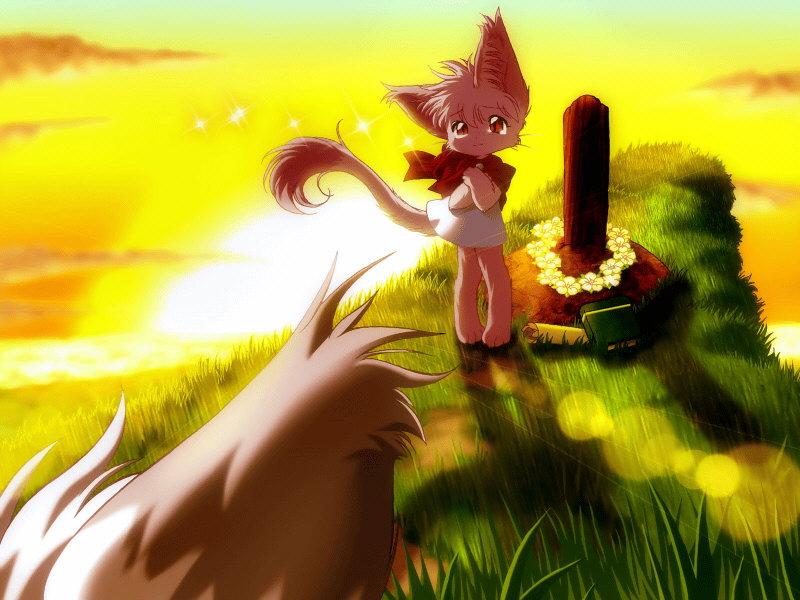 anthro bodily_fluids duo female flower grave plant sunset tail tears ikuta_takanon tail_tale yaminabe_aries run_turn domestic_cat felid feline felis mammal 4:3 wallpaper