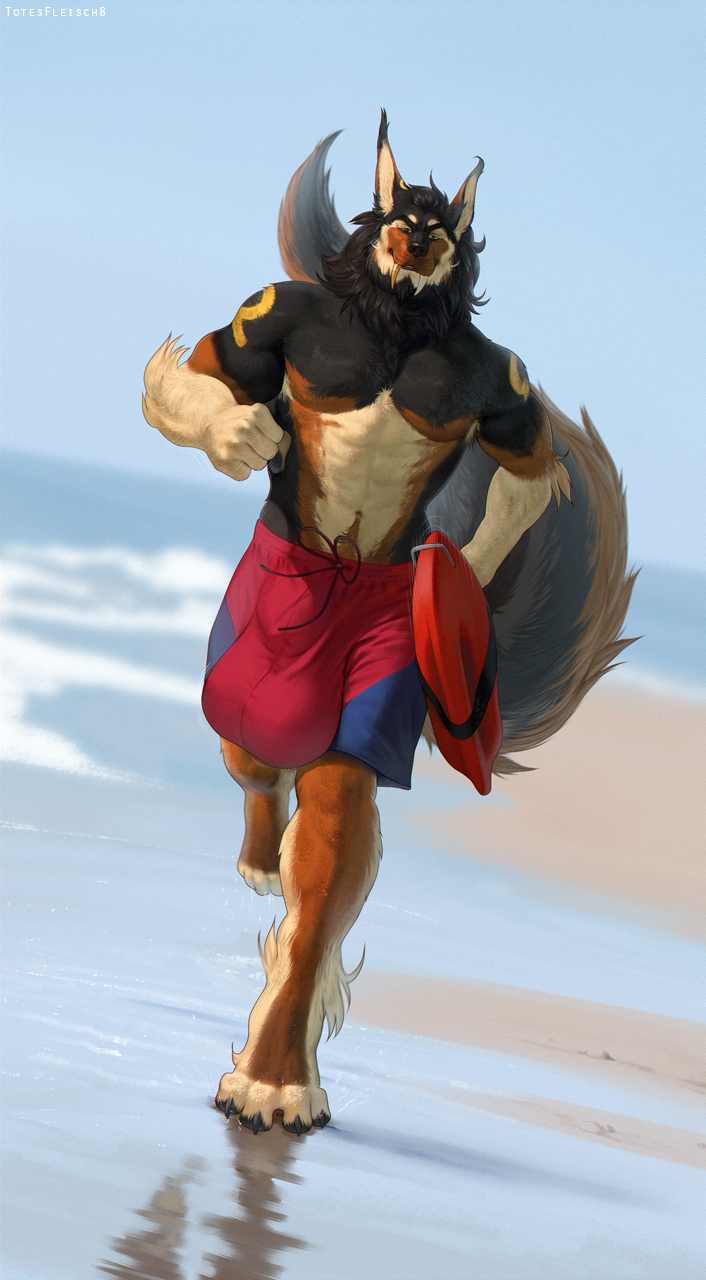 anthro balls_outline beach big_bulge biped black_body black_fur brown_body brown_fur bulge claws clothed clothing detailed_bulge digitigrade fangs fur genital_outline gold_(metal) gold_tooth huge_bulge hyper looking_at_viewer lycanfolf male multicolored_body multicolored_fur muscular muscular_anthro muscular_male outside paws running running_towards_viewer seaside sheath_outline solo swimming_trunks swimwear tail teeth toe_claws topless topless_anthro topless_male white_body white_fur totesfleisch8 baywatch mythology bayzan canid canine canis domestic_dog german_shepherd herding_dog hybrid mammal mythological_canine mythological_creature pastoral_dog werecanid werecanine werecreature werewolf wolfdog 2022 digital_media_(artwork) hi_res