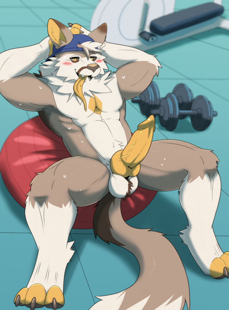 anthro ball balls barazoku blush erection exercise_ball fur genitals gym hair kemono looking_at_viewer male muscular muscular_anthro muscular_male nude paws penis smile solo tongue tongue_out vitaly4321 canid canine mammal digital_media_(artwork)