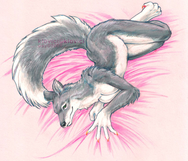 5_fingers anthro bed_sheet bedding bedding_background biped black_nose breasts claws featureless_breasts feet female fingers fluffy fluffy_tail fur green_eyes grey_body grey_fur humanoid_hands looking_at_viewer lying nude on_side raised_tail solo tail white_body white_fur uaykan klovici canid canine canis mammal wolf 2006