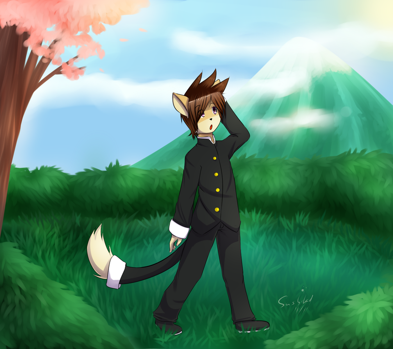 adolescent anthro anthro_kai brown_hair cherry_blossom cherry_tree clothed clothing cloud detailed_background flower fruit_tree grass hair japanese looking_up male mount_fuji outside plant prunus_(flower) purple_eyes school_uniform sky solo sun tail tree uniform walking young young_anthro young_male sushihad domestic_cat felid feline felis hybrid mammal signature