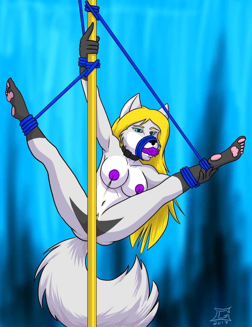 5_toes anthro bdsm biped black_collar black_nose blonde_hair blue_eyes blue_rope bondage bound breasts collar dancing feet female gag gagged genitals hair muzzle_(object) muzzled navel nipples nude pole pole_dancing purple_nipples pussy rope solo toes goliathcpg canid canine mammal 2017