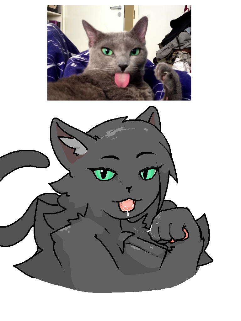 bodily_fluids female fur green_eyes grey_body grey_fur licking saliva tongue meko_arts domestic_cat felid feline felis mammal 3:4